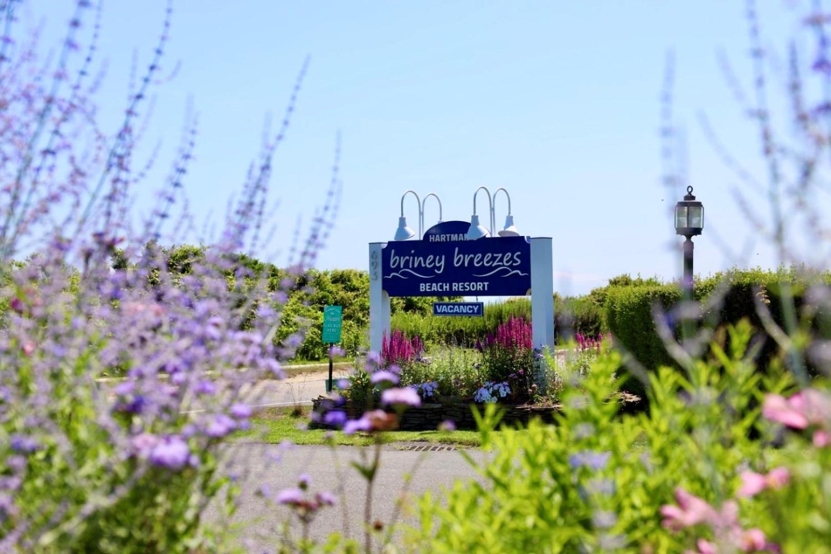 Hartman'S Briney Breezes Beach Resort Montauk Eksteriør bilde